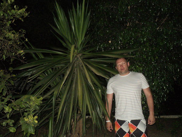 Алексей Зотов