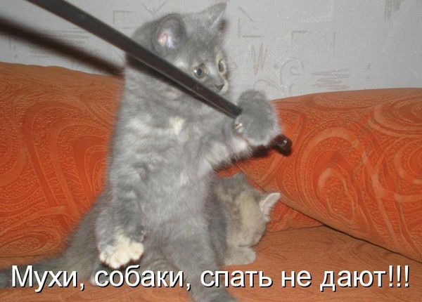 Виталлий Пинаев