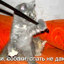 Виталлий Пинаев