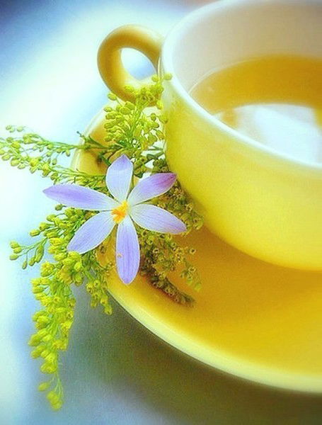 Гульмаржан Болатбеккызы