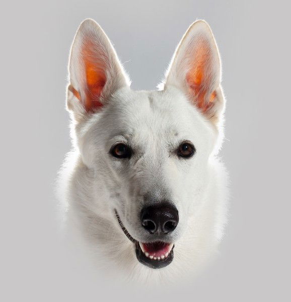 Юрий Мартынов