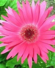 Лілія Жигалюк