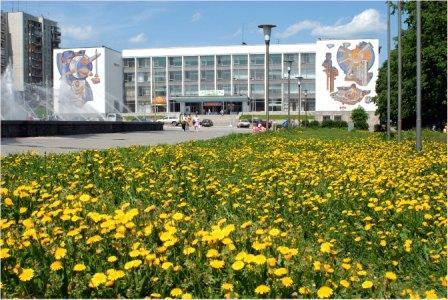 Дк Пнтз Орг.отдел