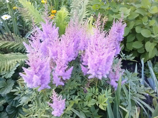 Виталий Девяткин