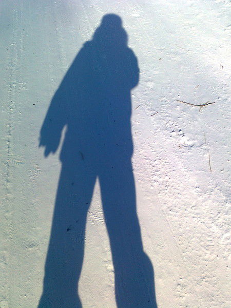 Юридическая Компания Проспект