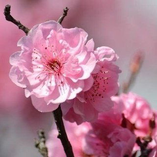 Вера Кудяшева