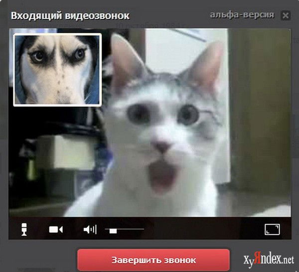 Лариса Вагина