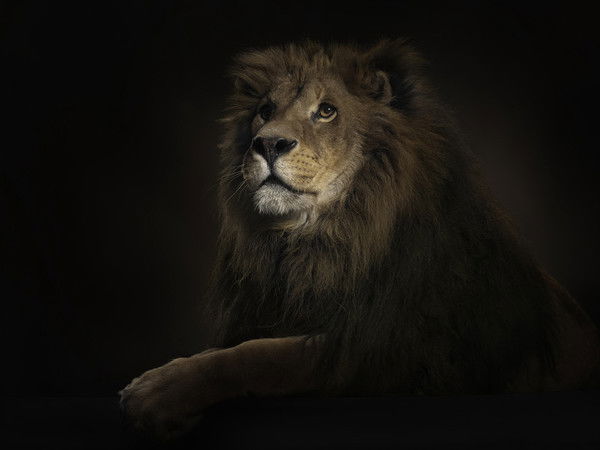 Шавкат Адашев