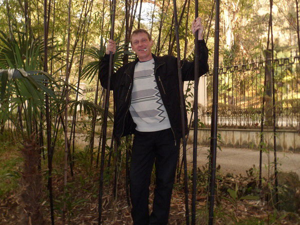 Александр Васин