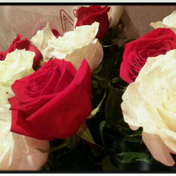 Salamat Kydaibergenova