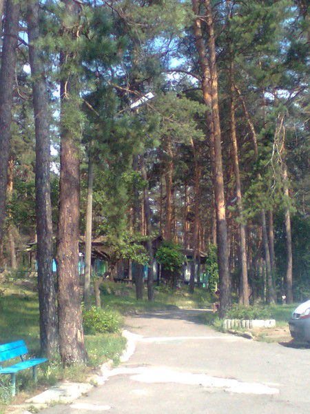 Александр Алексеев