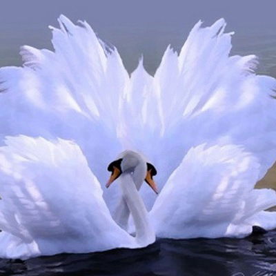 Гульназ Тухбатова