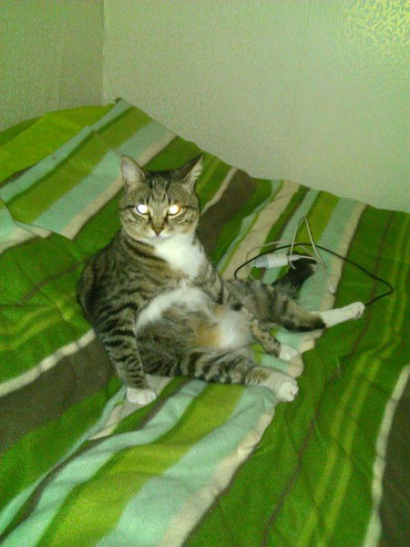 Кристина Пилипчевская