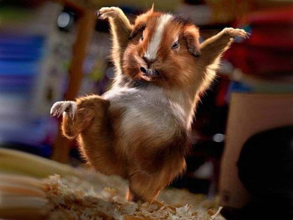 Эмилия Исаева