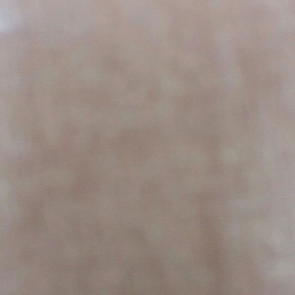 Данияр Шакаримов