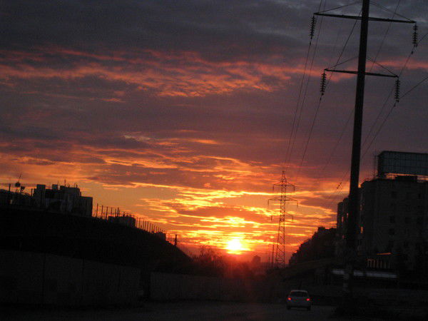 Елена Салихова