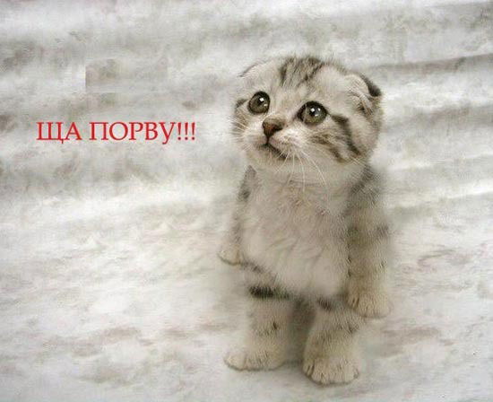 Андрей Мельник