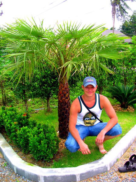 Алексей Сеник