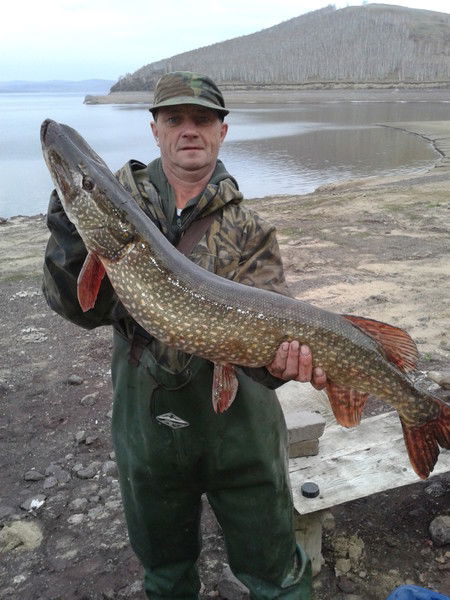 Евгений Назаров