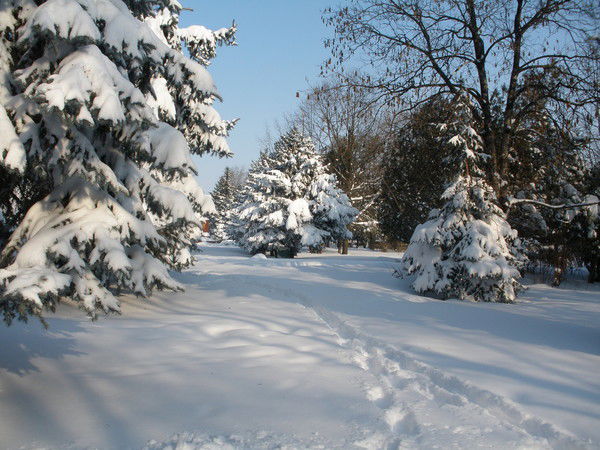 Людмила Мирончук