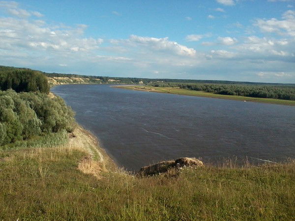 Евгения Шулинина