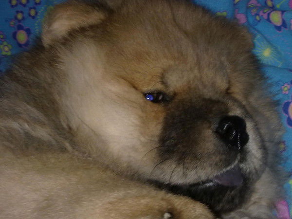 Юлия Мальнева