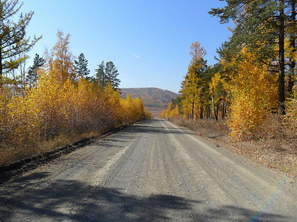 Виталик Черепанов