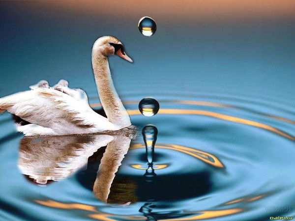 Мансур Ганиев