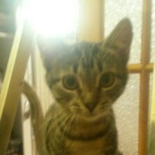 Наталья Воробьёва