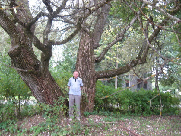 Гена Рынковский