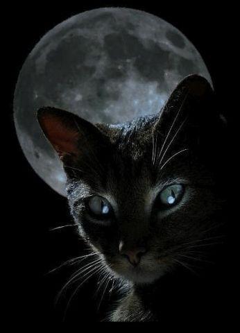 Наталья Клюквина