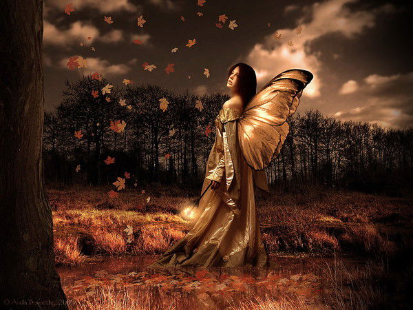 Оксана Сайко