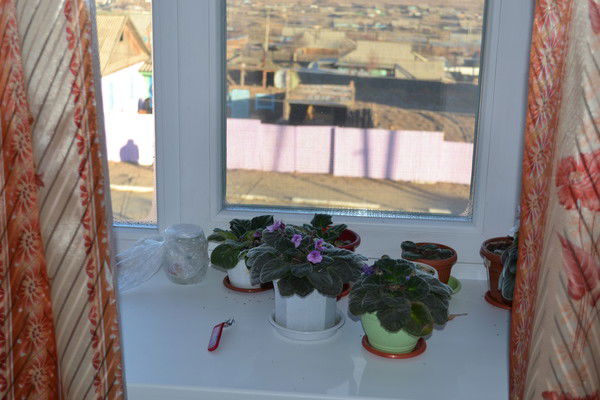 Валентина Большухина