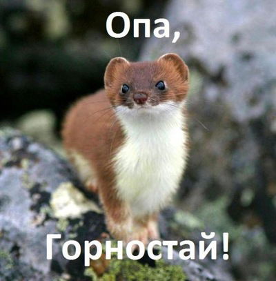 Алексей Иванов