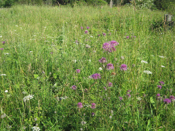 Марина Устюгова