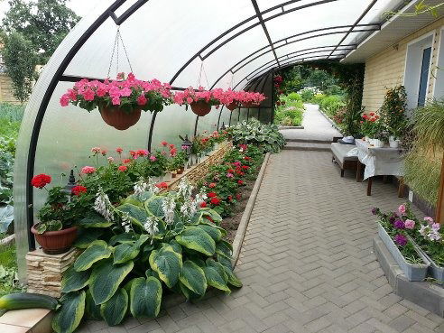 Ольга Севьева