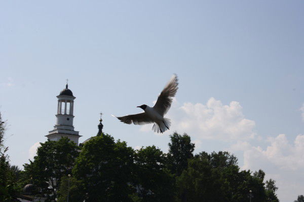 Евгений Колесов