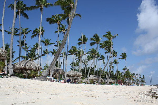 Луиза Белугина