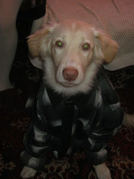 Der Engel- Beschutzer