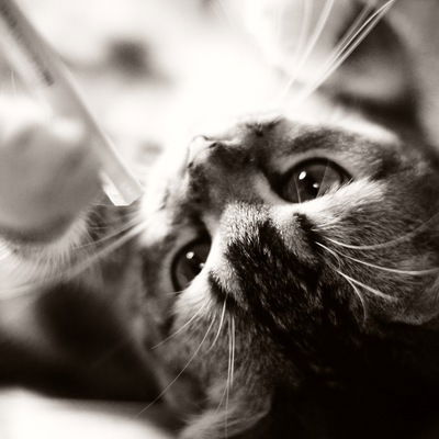 Юля Медведева