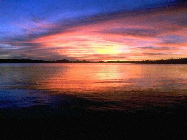 Елена Габдуллина