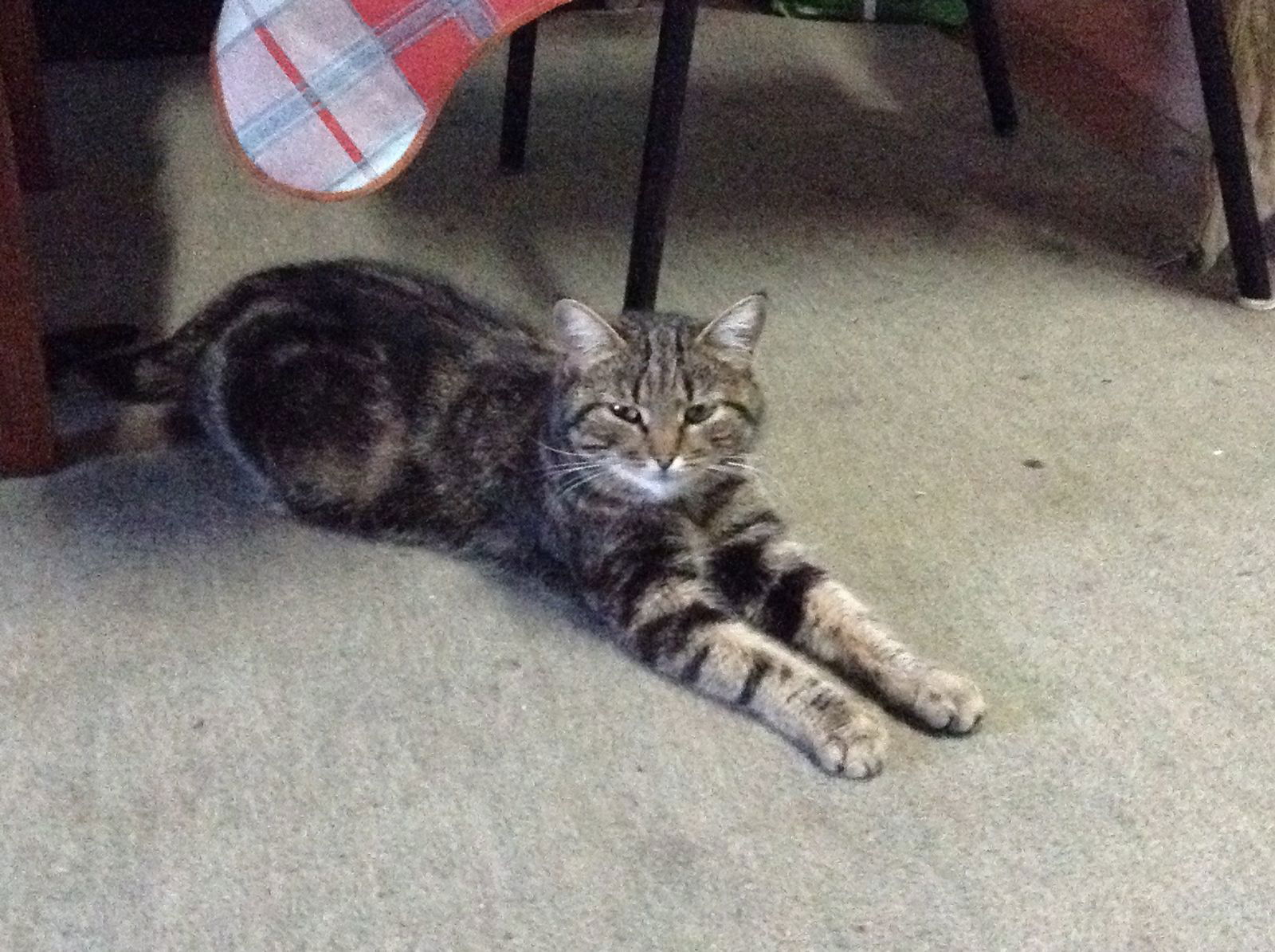 Сергей Тяжлов