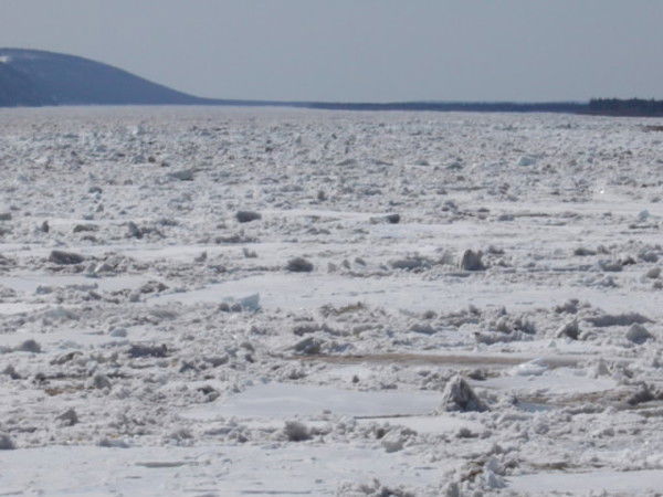 Александр Ерзиков