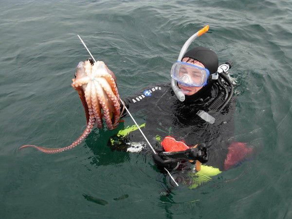 Евгений Зацерковный