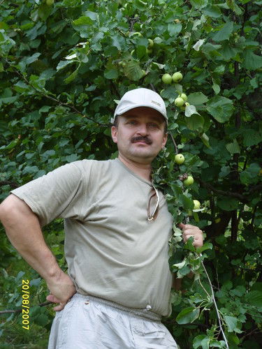 Сергей Власенко