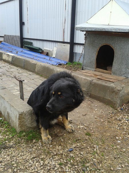 Валера Огурцов