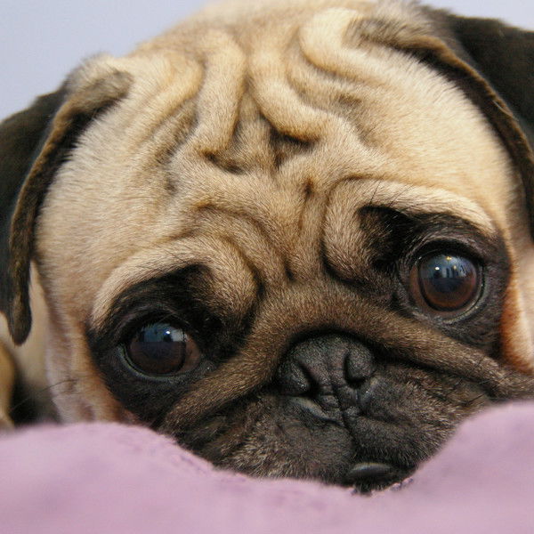 Андрей Силантьев