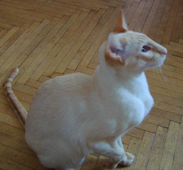 Марина Кривель