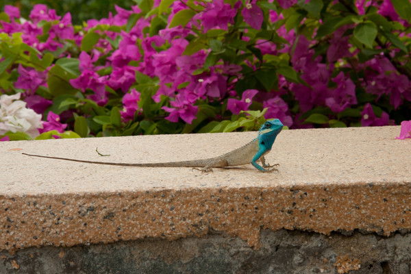 Наталия Терешко (Орлова)