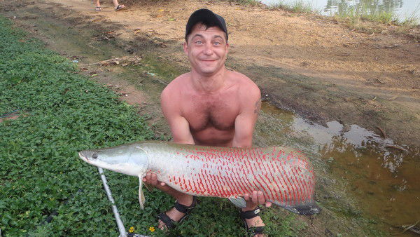 Денис Баканов